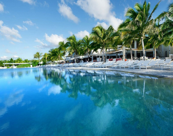portfolio-papagayo